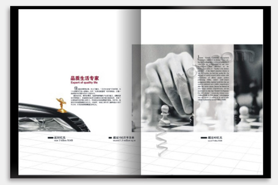 項(xiàng)目：企業(yè)宣傳畫(huà)冊(cè) 行業(yè)：地產(chǎn)投資